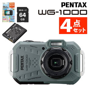 PENTAX WG-1000 �I���[�u �f�W�^���J���� �h�� �h�o �ϏՌ� ���R�[ �y���^�b�N�X�i���r���[���T����j�i�\���o�b�e���[�E�t���ی�t�B�����ESD�J�[�h�t���j�i.QL�j