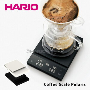 nI R[q[XP[ |X CST-2000 HARIO R[q[hbvp v ʂ ͂  R[q[ CST-2000-W zCg CST-2000-B ubNi.QLj