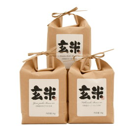 北海道産 玄米 3種セット（ゆめぴりか・ななつぼし・ふっくりんこ）各1kg 北海道米 道産米 ブランド米（みつはぴ）