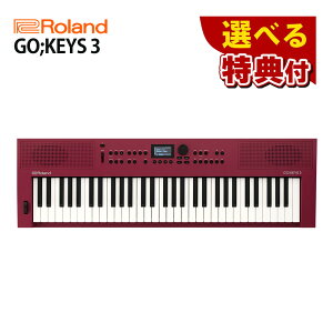 10킩IׂT Roland [h GO:KEYS 3 GOKEYS3-RD _[Nbh L[{[h 61 sAm dqsAm y t y 1,000ވȏ̉F t ~bNX ^ 킢 