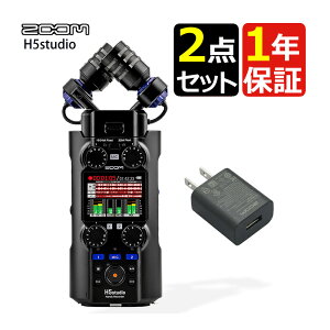Y[ H5studio nfBR[_[ jAPCM/ICR[_[ ubN  ZOOM ACA_v^ AD-17A/DibsOsji.QLj