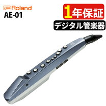 楽天市場】roland ae 10の通販