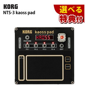 10킩IׂT KORG RO NTS-3 kaoss pad DIY FXjbg XYpbh ^b`C^[tF[X JX^}CYibsOsji.QLj