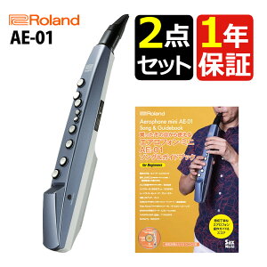 yKChubNtzRoland AE-01 GAtH~j EChVZTCU[  pXRA KChubN AE-SG04 [h Aerophone miniibsOsji.QLj