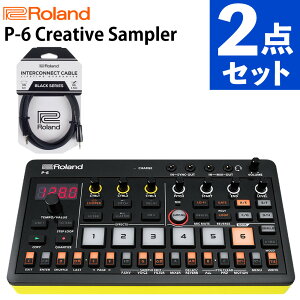 ���[�����h �T���v���[ AIRA Compact P-6 Creative Sampler RCC-5-3535 3.5mm �Z�b�g Roland�i���b�s���O�s�j