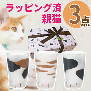 (LbsO) ˂ eL OX 3_ MtgZbg AfA coconeco LOX ˂ ~P g u` 300ml LObY lR ˂ L   킢 J ^u[ Rbv 