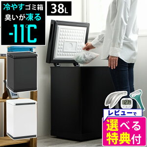 TJ ₷S~ yIׂ郌r[TzN[{bNX SCB-040 CLEAN BOX L 38L zCg ubN ݔ Ⓚ 点 ނ ybg Ԃ  LȂ ݁ibsOsj