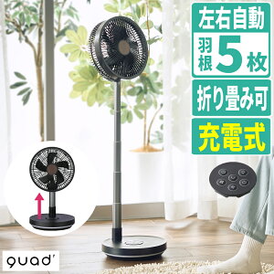 QUADS �T�[�L�����[�^�[ ��@ �[�d�� �t�H�[���f�B���O�t�@�� QS694BW �u���b�N�E�b�h�i���b�s���O�s�j�i.QL�j