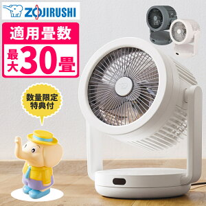 �ۈ� 2WAY �T�[�L�����[�^�[ ��@ RC-AA30 �O���[ �z���C�g �i���b�s���O�s�j�i.QL�j