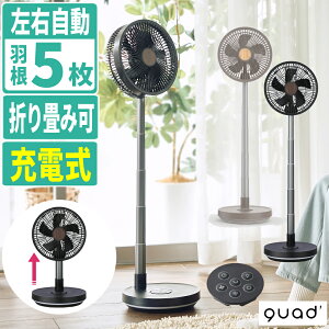 QUADS �T�[�L�����[�^�[ ��@ �[�d�� �t�H�[���f�B���O�t�@�� QS694 �O���[�W���E�b�h �u���b�N�E�b�h�i���b�s���O�s�j�i.QL�j