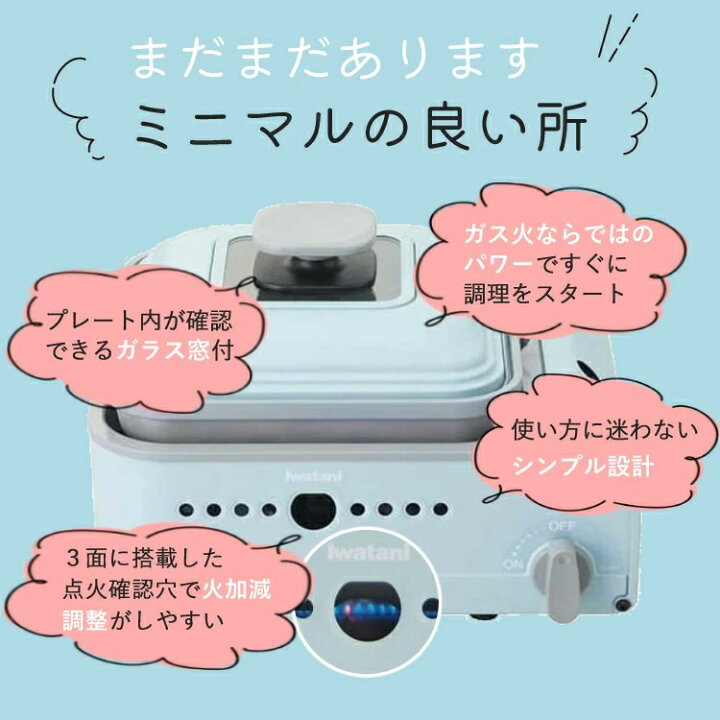ピカール エクストラメタル ポリッシュ ５００ｍｌ
