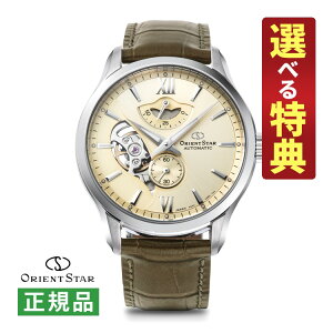 yIׂTtIzIGgX^[ Re|[RNV Y @B rv RK-AV0B10G C[hXPg (芪t) voh jAiO ORIENT STAR [J[ۏ