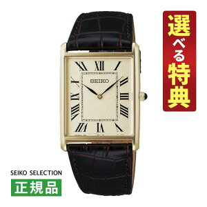 yIׂTtIzZCR[ZNV Y rv SSEH020 nanoEuniverse R{ ʌ胂f NI[c voh AiO [J[ۏ3N Ki SEIKO SELECTIONi.QLj