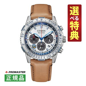 yIׂTtIzV`Y v}X^[ \[[ Y rv CA4661-09A SKYV[Y Blue Impulse u[CpX R{ 胂f voh CITIZEN PROMASTER Kii11Viji.