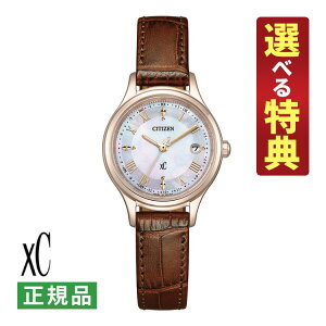 yIׂTtIzV`Y NXV[ \[[dg fB[X rv ES9497-02D hikari collection TNsN voh AiO CITIZEN xC Kii10Viji.QLj