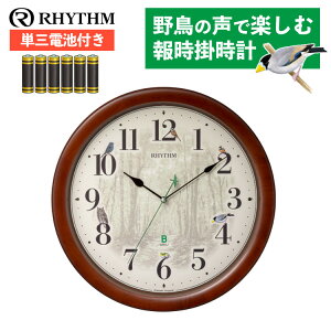 �y���r���[���T�L��z(�d�r�t��) ���Y�� rhythm �|�����v �d�g���v ���{�쒹�̉� �l�G�̖쒹 �񎞊|���v412 8MN412SR06 �A�i���O �ؘg �u���E�� �A���b�j ���ʒ��� �N���b�N�i���b�s���O�s�j�i.Q