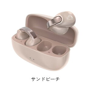 ir[őIׂTjJVC Victor rN^[ Cz HA-NP1T (G^[iu[/\eBI[u/Ths[`/u[/ubN/O[/}[/zCg) C[Jt^ CXCz