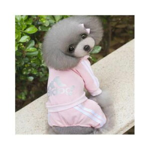 y}\1000~|bL z [֑ lCadidog  ybgpi S7F hbOEFA