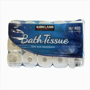 RXgR gCbg y[p[ _u 30 [  J[NhyCOSTCOzRXgR lC@