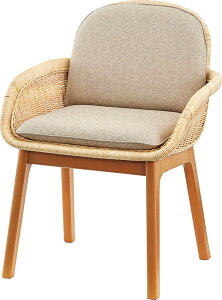 `FA ʍ47.5cm  ^ ؐ ֎q NbV Ђ| CX \t@ 1l| _CjO`FA  ^`FA t@ubN ^Ƌ H֎q  AWA i[J[