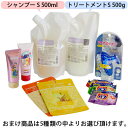 クオレ michite by AXI シャンプー S 500ml トリートメント S 500g詰替え 選べるおまけ付き セット 医薬部外品 ミチテ クオレ化粧品 サロン専売品 美容室 専売品 AXI　ボリュームがない ハリ・コシがない 根元の立ち上がりが悪い