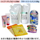 クオレ michite by AXI サマー シャンプー ナチュラル クール 500ml 詰替え サマー トリートメント 500g 詰替え 選べる おまけ付き セット サロン シャンプー トリートメント 冷感 サロン専売品 美容室 専売品 クオレ化粧品