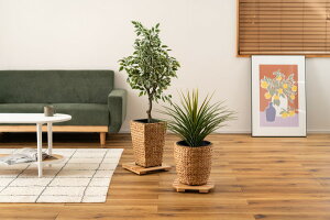 v^[x[XS ϗtÂ|␅ł̂Ƃړ͗lւ̍ۂ̑傫ȈړyȃLX^[t̃v^[x[X HOW-013NA i[J[jyJ