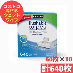 カークランドシグネチャー 流せるウェットワイプ 64 枚 x 10パック(640枚)赤ちゃん 年配の方 おしりふき ワイプ シート トイレ 掃除 【COSTCO】コストコ Kirkland Signature Flushable Wipe 64 Count x 1