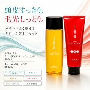 ���x�� �C�I �N�����W���O �t���b�V�������g 200ml �� �N���[�� �����g���y�A 200ml �Z�b�g Lebel IAU �V�����v�[ �g���[�g�����g ������ �~�j�T�C�Y ����P�A �_���[�W�P�A �ێ� �����Ƃ� ���e��