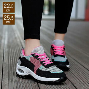 Xj[J[ fB[X ̎q jOV[Y EH[LO W WjA JWA bV AEghA i[XV[Y ʊw C ₷  L