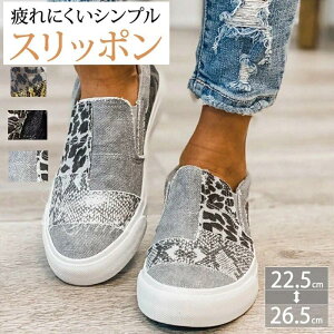 Xb| fB[X EFbW\[ ɂ Xj[J[  [Jbg Cq[ JWAV[Y EhgD ɂ  ~