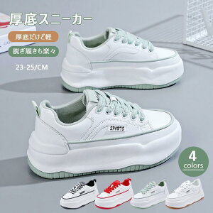 Xj[J[ fB[X C X|[cV[Y V[Y ~ h r r ₷ Ȃ ɂȂ ʋC Vv ʋ ʊw 