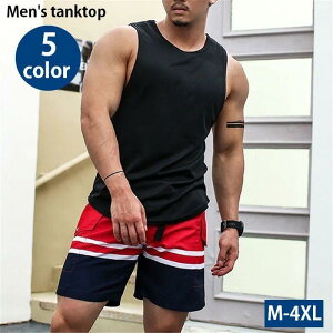 ^Ngbv Y jp gbvX m[X[u n EhlbN n Vv JWA Ci[ i X|[cEFA ʋC 傫