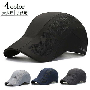 n`OX Xq fB[X Y lp LbY qp ڂ eqł yAbN TCY߉\ bV ʋC  O΍