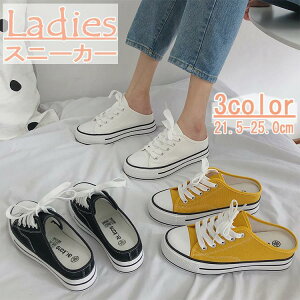 Xj[J[ ~[Xj[J[ fB[X C T_  [Jbg ƂȂ  [XAbv LoXn