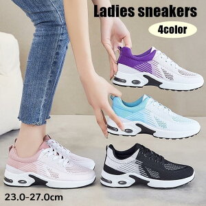 Xj[J[ EH[LOV[Y fB[X  C  V[Y ^C bV Vv 킢   ʋC