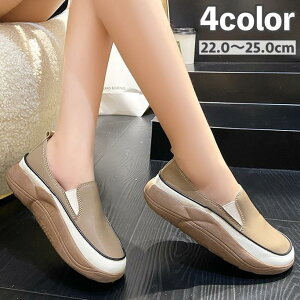 Xb| Xj[J[  TChSA V[Y C fB[X  wl RȂ Vv JWA  o ig