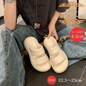 T_ fB[X  r[` X|[c r Xgbv ItBX C ₷ RtH[g q[ y 4.5cm d s ʋ ][g 傫TCY