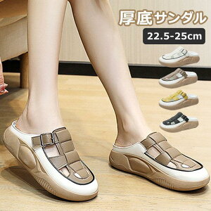 X|[cT_  fB[X T_ 5cm Xj[J[ fB[X r[`T_ JWA RtH[g T_ ʋC K y r[`T_