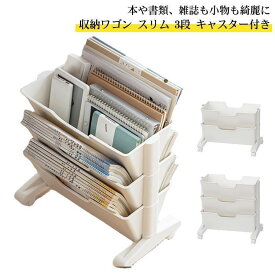 ファイルワゴン マガジンラック スリム 2段/3段 キャスター キャスター無し 雑誌収納 本収納 新聞収納 新聞ラック 本棚 棚 移動 小物収納 文房