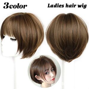 wAEBbO tEBbO fB[X  wAANZT[  V[g {u O y   C`F