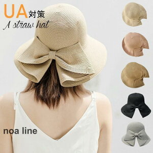 Xq  fB[X ΍L Xg[nbg K[fjOJbgXq ܂肽 ΍LXq  nbg s C   {t