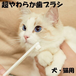 p uV  Lp ybgp uV 炩 ɍז \tgObv ₷