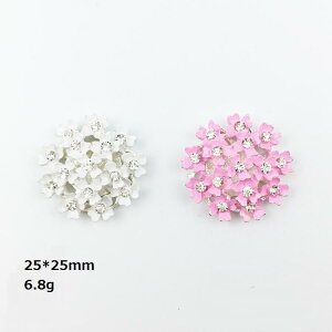 zԌ^  wA ANZT[ WRjA CjV `[ p[c  p[c DIYޗ f |s[Y 1yAy2Pz25*25mm 6.8g