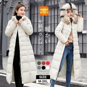 _ER[g fB[X O   t[ht  g   ؍ ꂢ g ~V t@bV