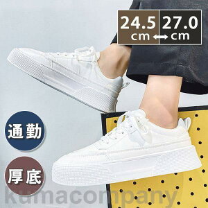 Xj[J[ Y EH[LO JWAV[Y nCq[  C ʊw ʋ n t H ~ AE^[ WMO zCg w