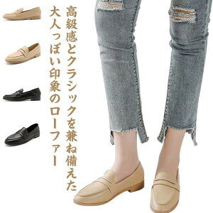 [t@[ pvX fB[XC V[Y tbg t@[pvX h l V[Y _炩 CꂵȂ d d ʊw ʋ }}