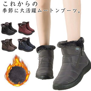 [gu[c Xj[J[  Y fB[X EB^[u[c g Xm[u[c N Ȃ  ~p hC h y 