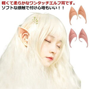 d̎ t Gt̒ Zbg nEB RXv d  RXv ϐg 傫Ȏ   \ ϑ ߑ ~