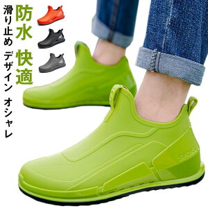 CV[Y Cu[c V[g Xj[J[ JC Y Sh V[gu[c o[u[c  J ~ RtH[g y